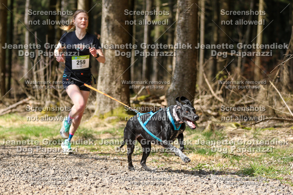 Dog Paparazzi - VCC26-360 | Dog Paparazzi Jeanette Grottendiek Fotografie & Videografie - Realisiert mit Pictrs.com