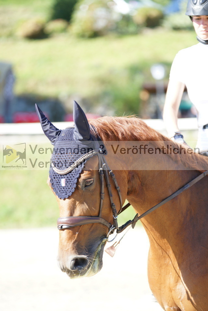 DSC02350 | equestrian-live-com