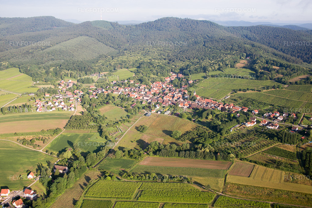 Aerial view: View of the town in Rott in the state Bas-Rhin, France.Photo: IMG_089950.jpg taken on 06/26/2016 by Werner Riehm/FLY-FOTO.comResolution of the original: 5472 x 3648 px