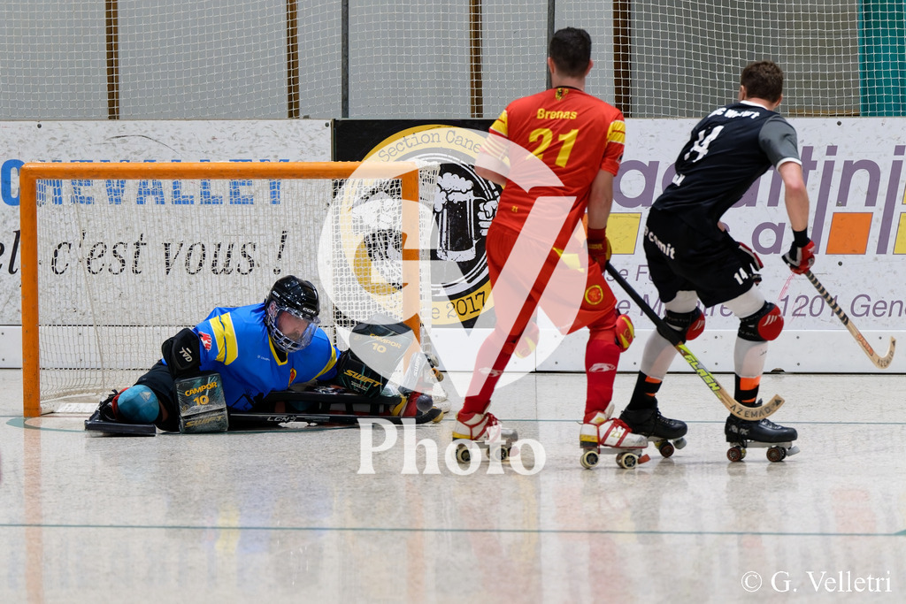 DSC_9773 | Velletri Photo