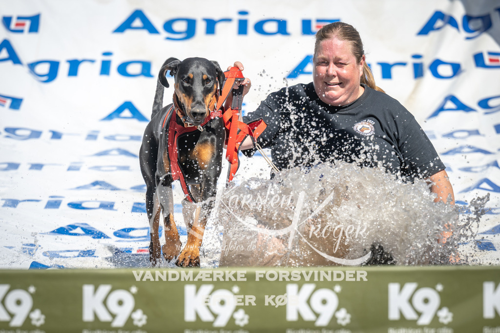 1350_ZZ91466 | kk-dogfotos