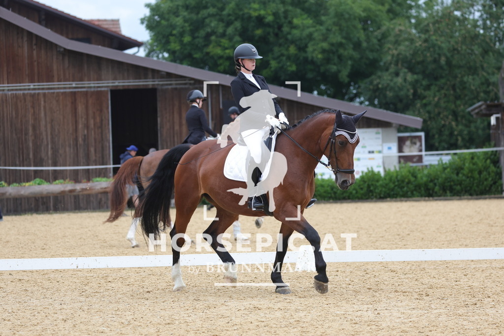 0P6A1408 | Willkommen bei Brunnmayr - Design & Fotografie – Ihrem Spezialisten für Reitturniere und Pferdeveranstaltungen in Oberösterreich, Salzburg und Bayern! Seit über 17 Jahren sind wir leidenschaftlich dabei.