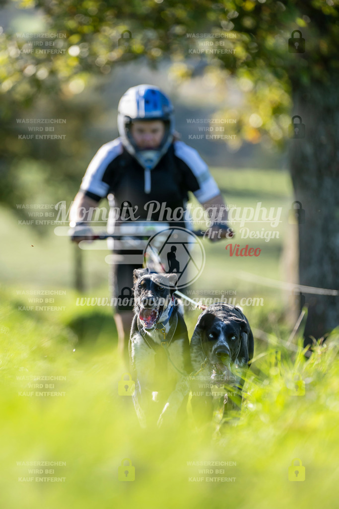 MompixPhotography_20TSB_E3_DS2-39 | PayLife