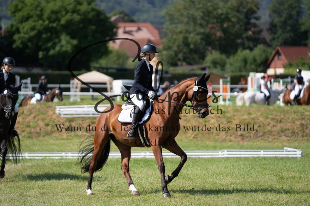 A7V09636 | Pferdefotograf