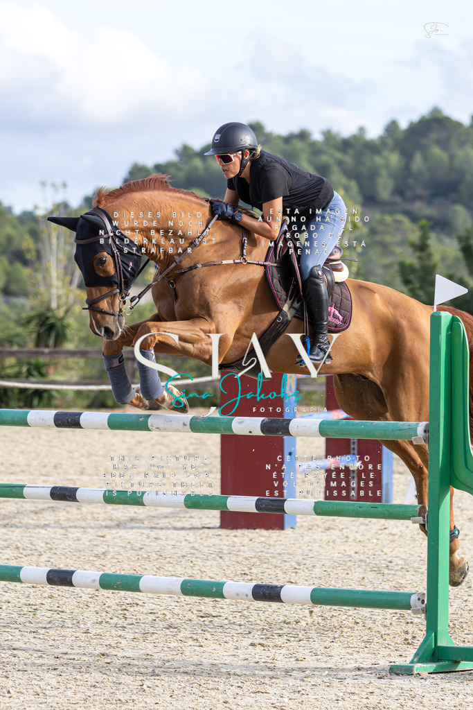 IMG_4501 | s-jay-photography - Realisiert mit Pictrs.com