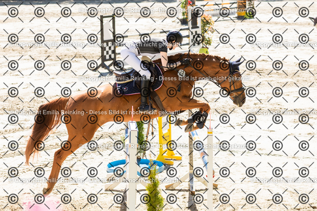CL5A2523 | Emilia Reinking Fotografie - Realisiert mit Pictrs.com