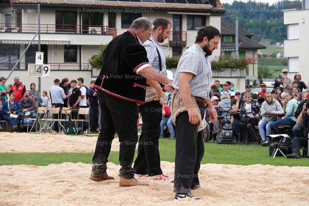 DSC02046 | Schwingen - Realisiert mit Pictrs.com
