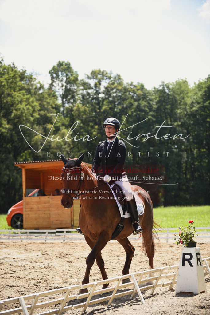DSC_1282 | Pferde- und Turnierfotografie in Westsachsen. Pferdeportraits, Auftragszeichnungen und intuitive Kunst.