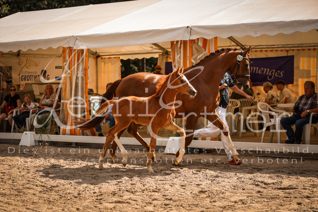 09.DoWBD00020 | Leoni Ertmer Photography - Realisiert mit Pictrs.com