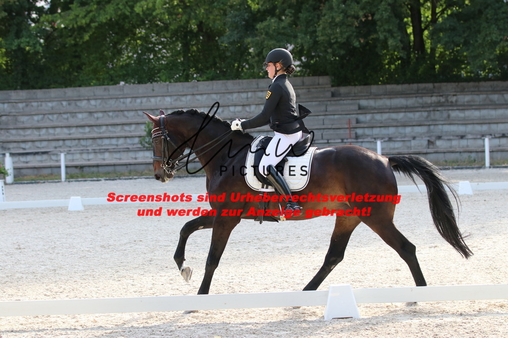 IMG_5839 | lmwpictures - Realisiert mit Pictrs.com