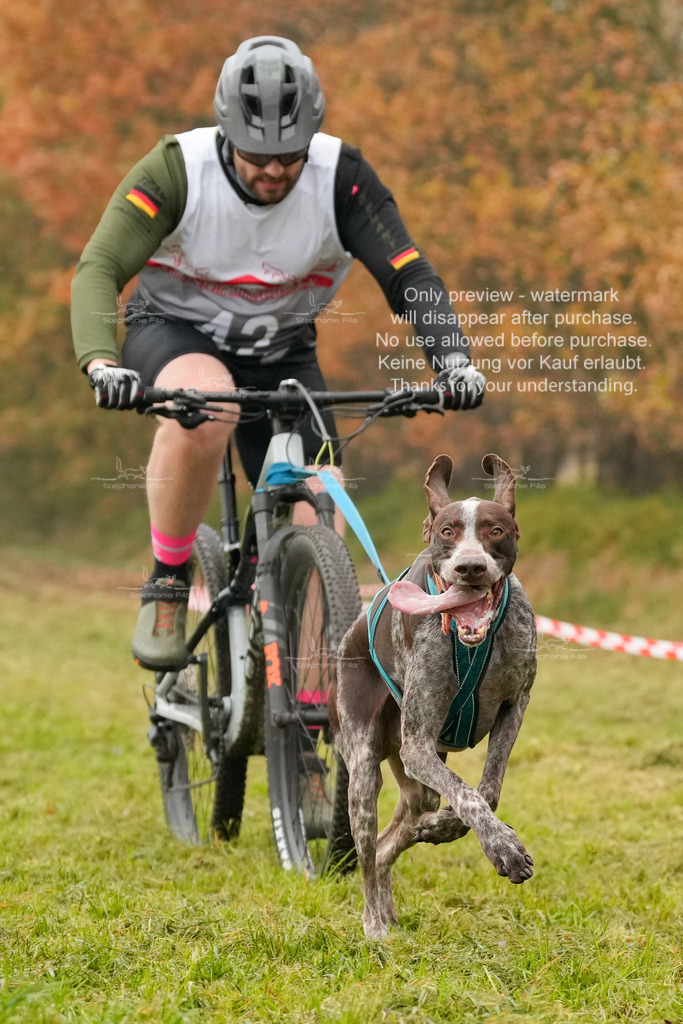 AusschnitteSa-77 | stephaniefillaphotographie - Realisiert mit Pictrs.com