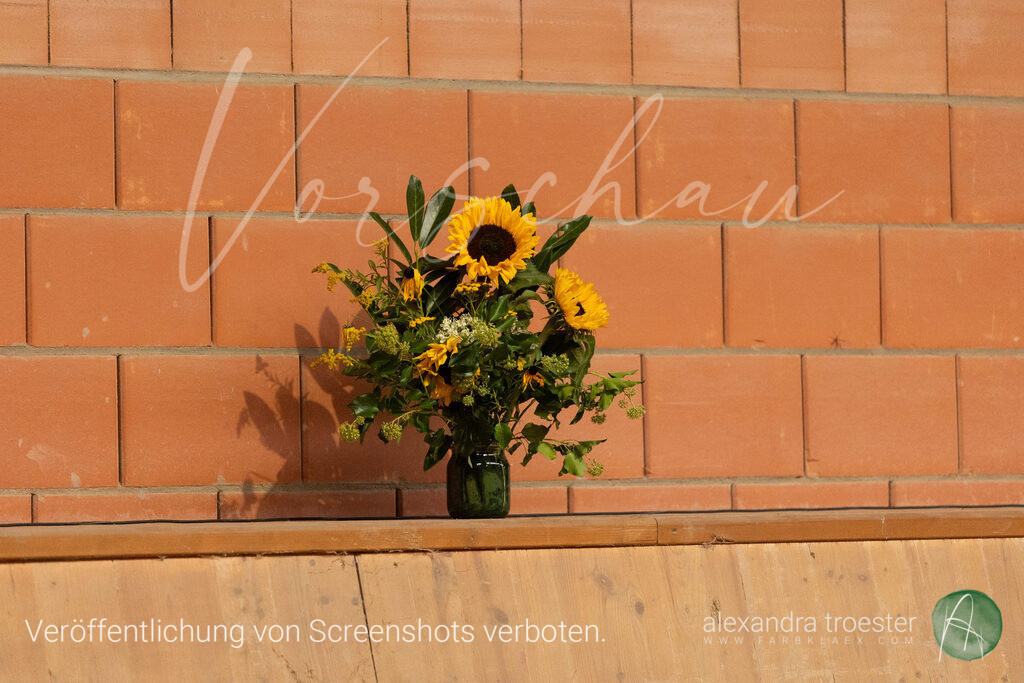 250913_Barop_11_015 | farbklaex.com