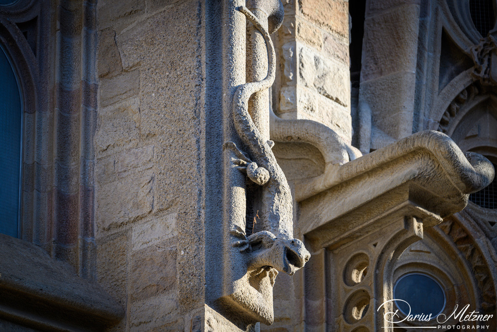 Sagrada Familia in Barcelona | Bilder aus der Stadt Barcelona