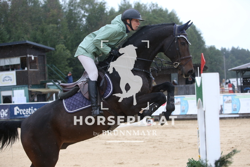PP015217 | Willkommen bei Brunnmayr - Design & Fotografie – Ihrem Spezialisten für Reitturniere und Pferdeveranstaltungen in Oberösterreich, Salzburg und Bayern! Seit über 17 Jahren sind wir leidenschaftlich dabei.