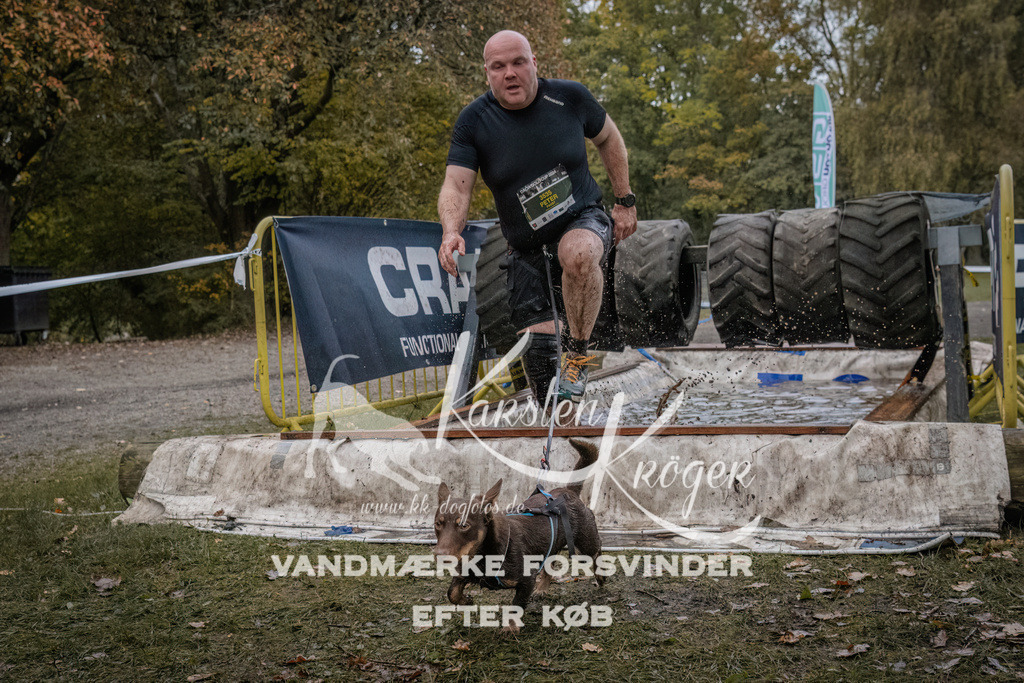 1653_ZZ94322 | kk-dogfotos