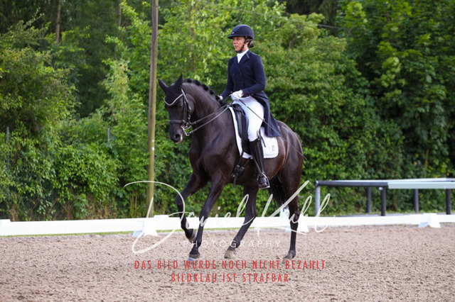 DKP41662 | Turnierfotos kaufen im Webshop von Daniel Kuhl Photography – entdecke professionelle Reitsportfotos aus Turnieren & Events. Hochwertige Turnierbilder online bestellen & sichern. Jetzt Fotos von Reitsportturnieren kaufen!