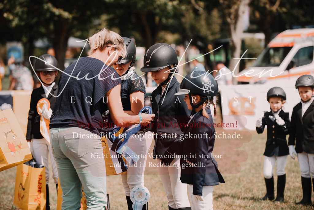 DSC_6353 | Pferde- und Turnierfotografie in Westsachsen. Pferdeportraits, Auftragszeichnungen und intuitive Kunst.