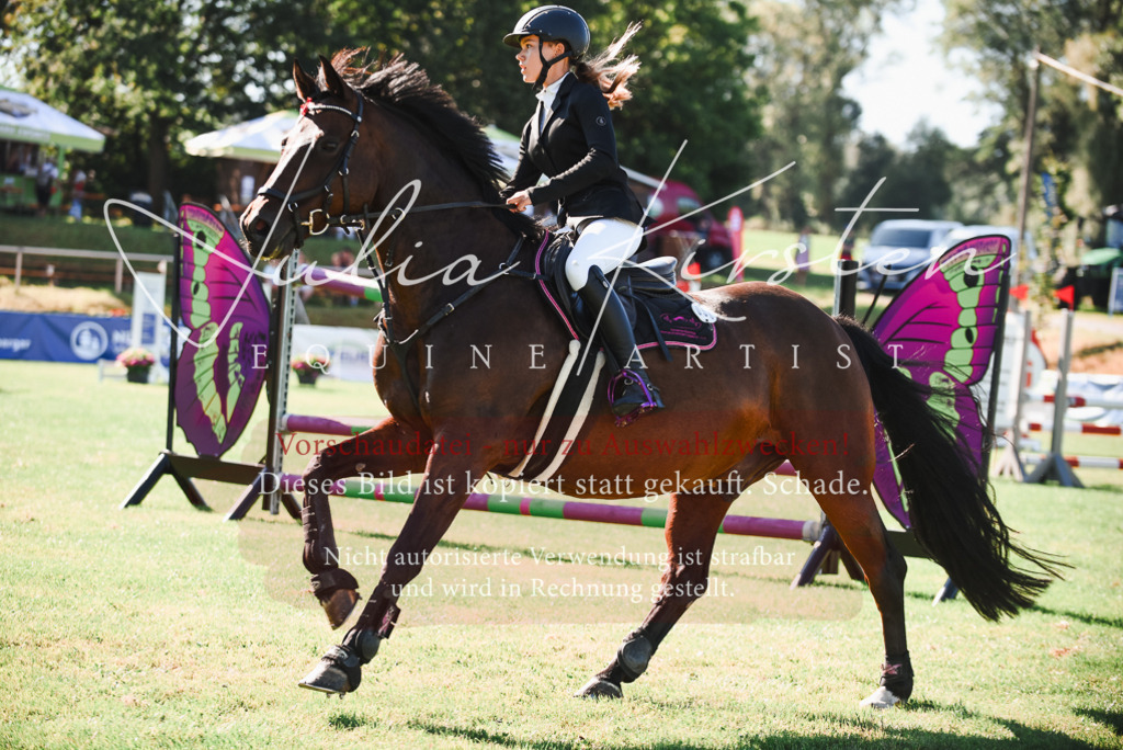 DSC_2396 | Pferde- und Turnierfotografie in Westsachsen. Pferdeportraits, Auftragszeichnungen und intuitive Kunst.