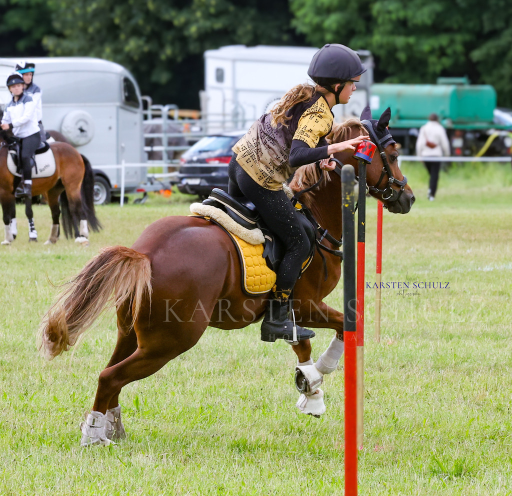 1B3A1017 | Reitsport Reiten