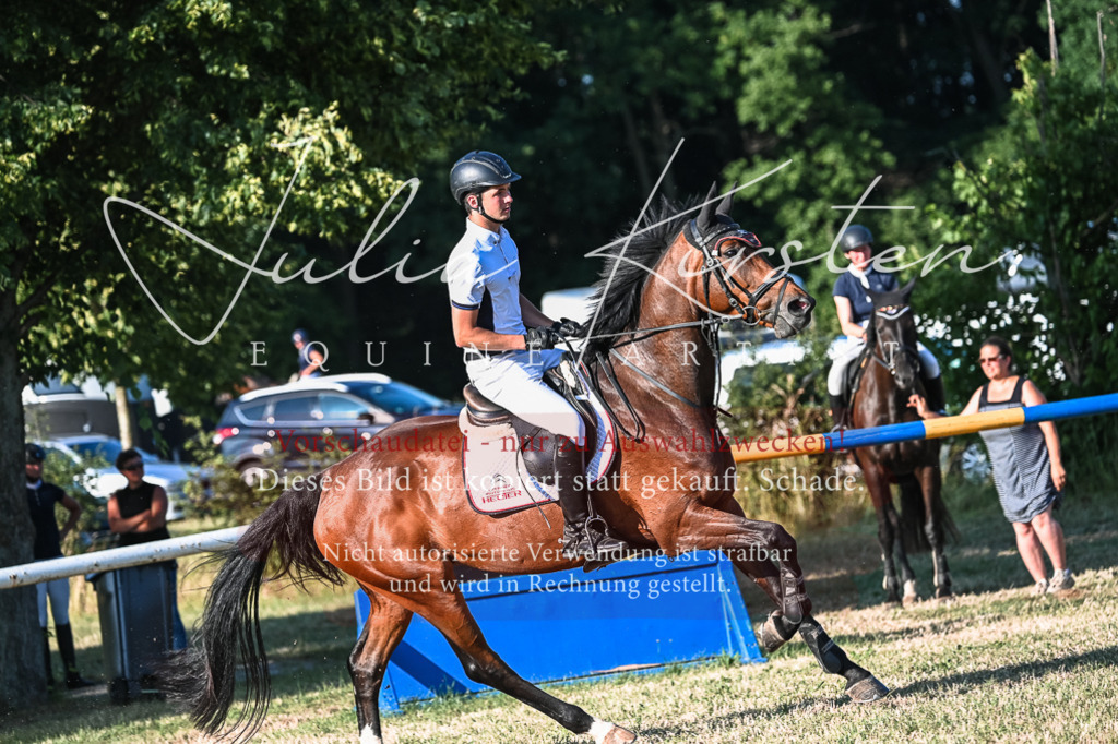 DSC_3072 | Pferde- und Turnierfotografie in Westsachsen. Pferdeportraits, Auftragszeichnungen und intuitive Kunst.