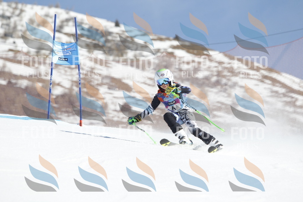 _U3G8459 | holidayphoto