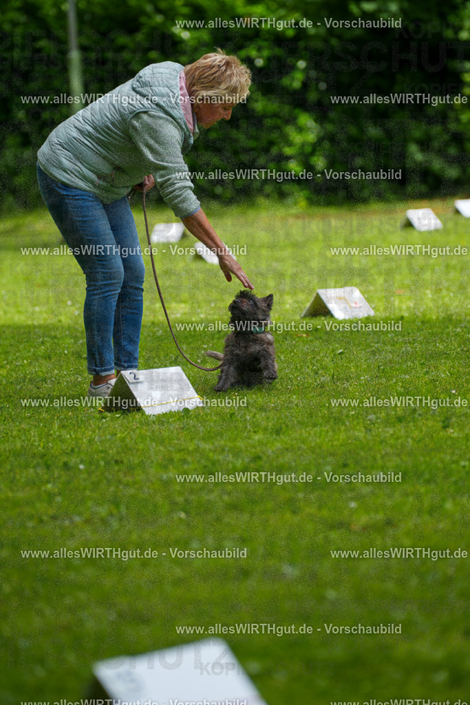 @allesWIRTHgut_Tierfotografie - www.allesWIRTHgut.de - 7R504419 | Professionelle Tierfotografie in Mönchengladbach von Daniel Wirth (allesWIRTHgut). Liebevolle & natürliche Bilder von Hunden & Katzen für unvergessliche Erinnerungen.