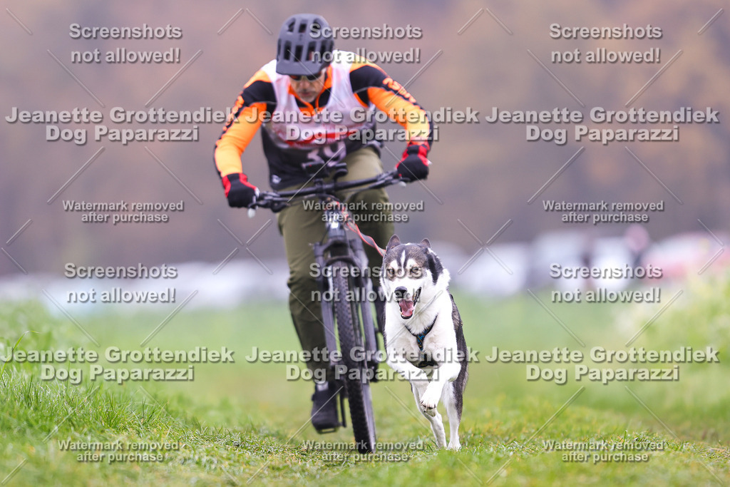 Dog Paparazzi - Visbeck 25 -199 | Dog Paparazzi Jeanette Grottendiek Fotografie & Videografie - Realisiert mit Pictrs.com