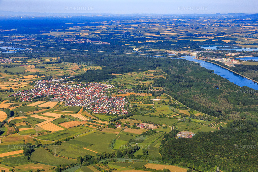 Luftbild: Dorfansicht in den Rheinauen von Nordosten in Au am Rhein im Bundesland Baden-Württemberg in Deutschland. Foto: IMG_084038.jpg vom 26.07.2015 durch Werner Riehm/FLY-FOTO.de