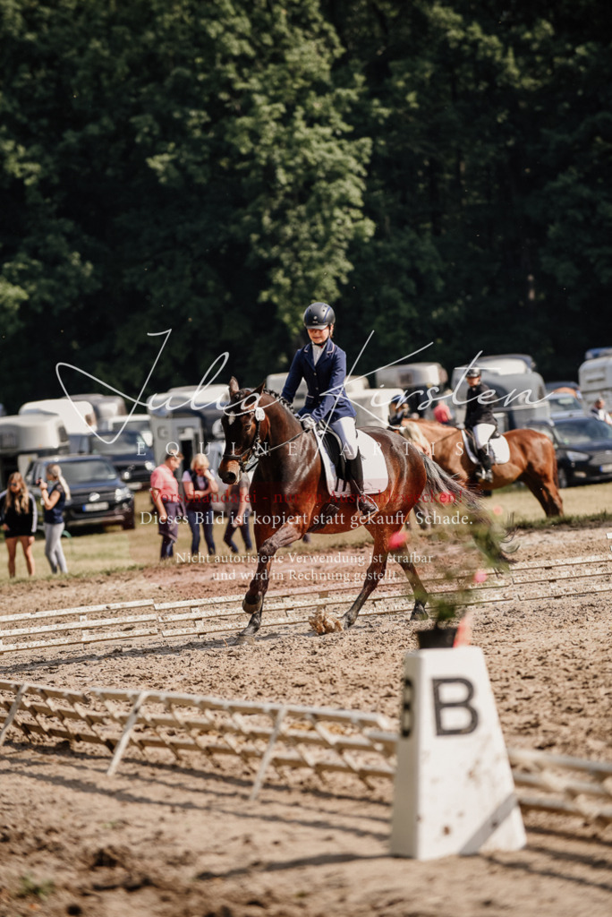 DSC_9174 | Pferde- und Turnierfotografie in Westsachsen. Pferdeportraits, Auftragszeichnungen und intuitive Kunst.