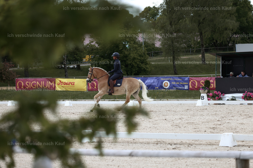 PI26_DR_241_Stoibphotography_C2_L6673A.jpg | working equitationturnier fotograf videograf stoibphotography marixx film working equitation deutschland reitsport turnierfotografie eventfotografie equestrian events