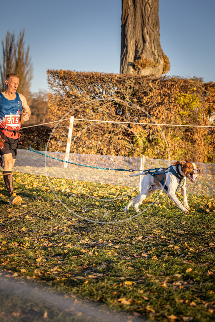 CaniXpix_DV3A4832 | Hundefotografie, Tierfotograf, Pfotenfotografie, Fotoshooting Hund, Hunde Portrait, Hundesport, Hundeportraits, Heideshooting, Hunde, Sportfotograf, Hundefotograf, Turnierhundsport, THS,  - Realisiert mit Pictrs.com
