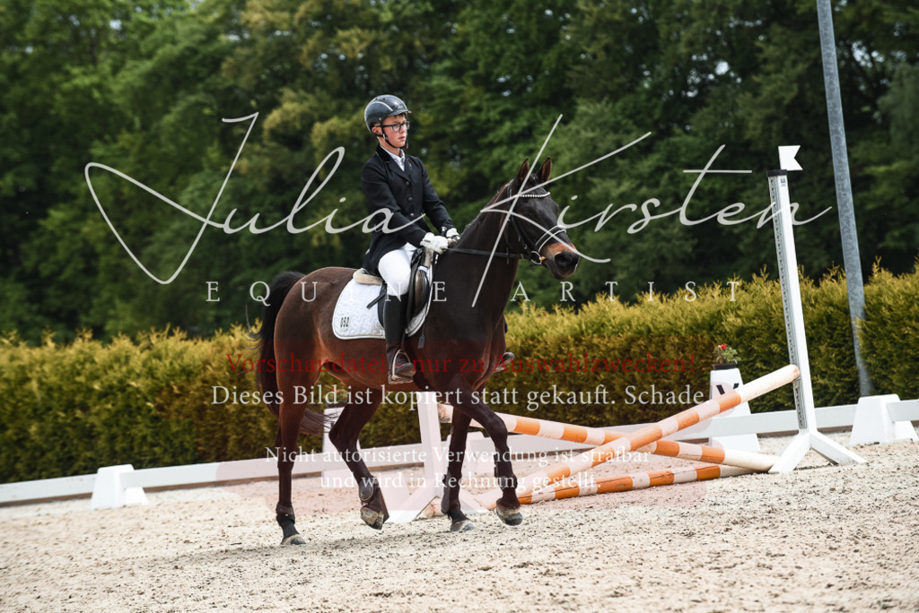 20230518_JK-Röhrsdorf-10-598 | Pferde- und Turnierfotografie in Westsachsen. Pferdeportraits, Auftragszeichnungen und intuitive Kunst.