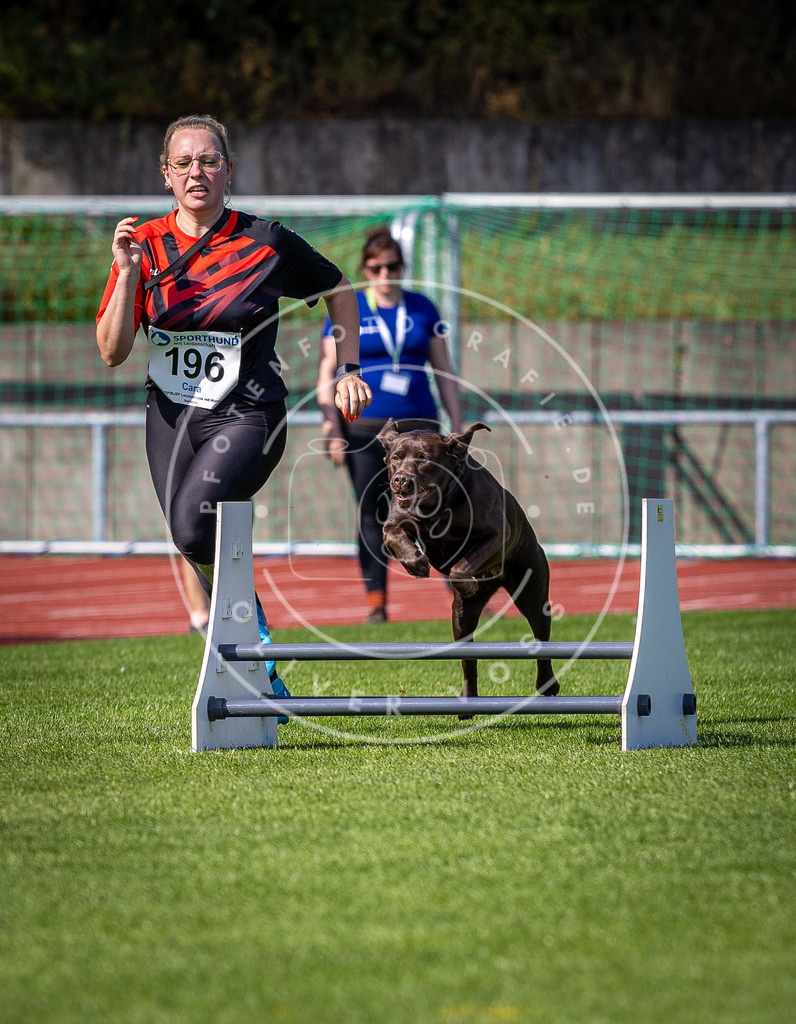 Pfotenfotografie_DV3A0773 | Hundefotografie, Tierfotograf, Pfotenfotografie, Fotoshooting Hund, Hunde Portrait, Hundesport, Hundeportraits, Heideshooting, Hunde, Sportfotograf, Hundefotograf, Turnierhundsport, THS,  - Realisiert mit Pictrs.com