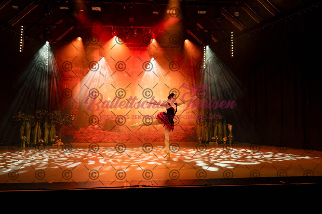 Ballettaufführung-504 | Bildershop Lem'n Entertainment - Realisiert mit Pictrs.com