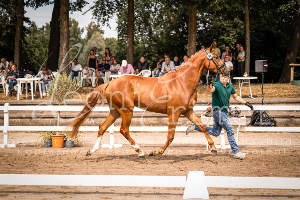 5.Fr00107 | Leoni Ertmer Photography - Realisiert mit Pictrs.com