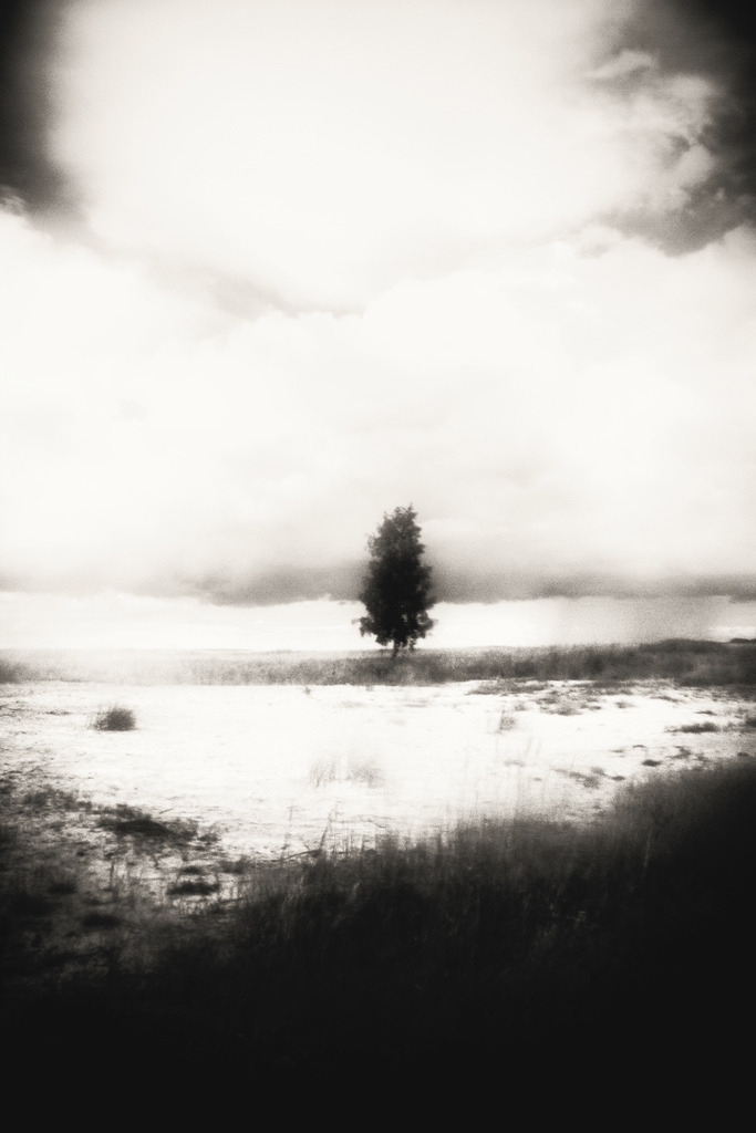 island_16_dorit_fuhg | Stimmungsvolle Fotografien von Dorit Fuhg. Kaufen Sie bequem hochwertige Fine-Art Drucke, Wandbilder und Kalender hier im Online-Shop. - Realisiert mit Pictrs.com