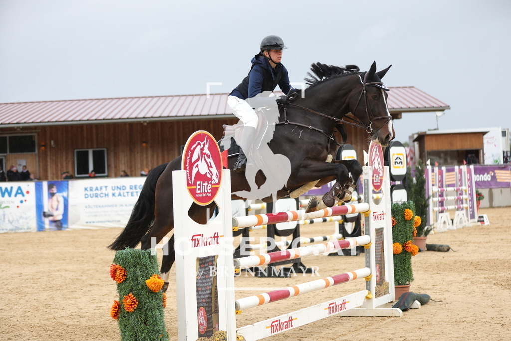 0P6A8716 | Willkommen bei Brunnmayr - Design & Fotografie – Ihrem Spezialisten für Reitturniere und Pferdeveranstaltungen in Oberösterreich, Salzburg und Bayern! Seit über 17 Jahren sind wir leidenschaftlich dabei.