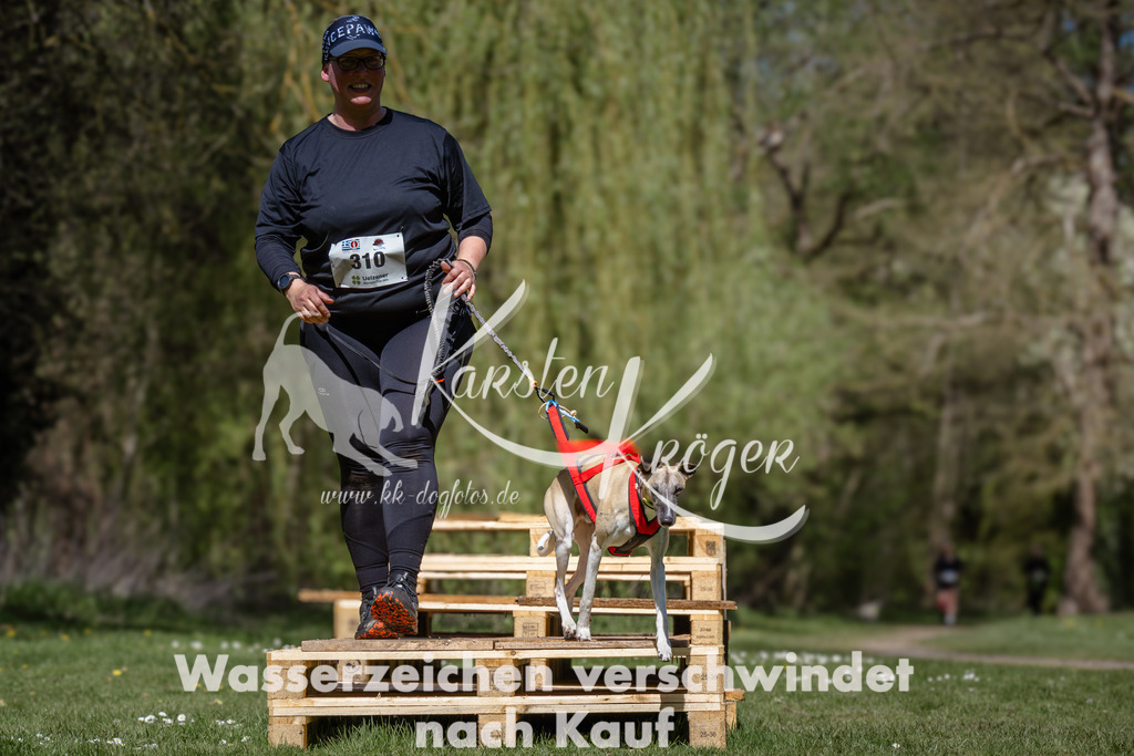 1236_ZZ92504 | kk-dogfotos