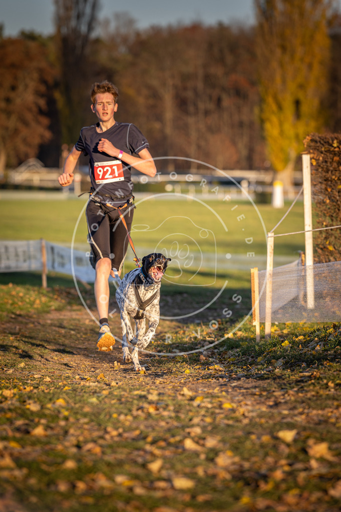 CaniXpix_DV3A4942 | Hundefotografie, Tierfotograf, Pfotenfotografie, Fotoshooting Hund, Hunde Portrait, Hundesport, Hundeportraits, Heideshooting, Hunde, Sportfotograf, Hundefotograf, Turnierhundsport, THS,  - Realisiert mit Pictrs.com