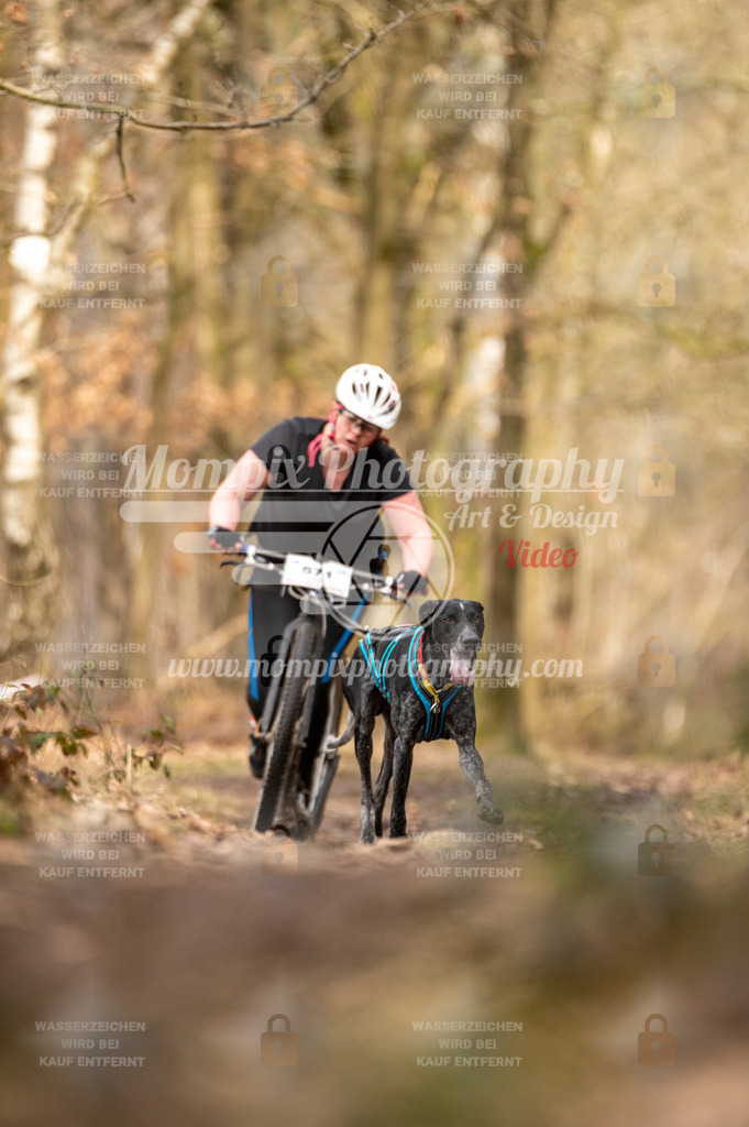 SPA_2023_SAM_Scooter-57 | PayLife