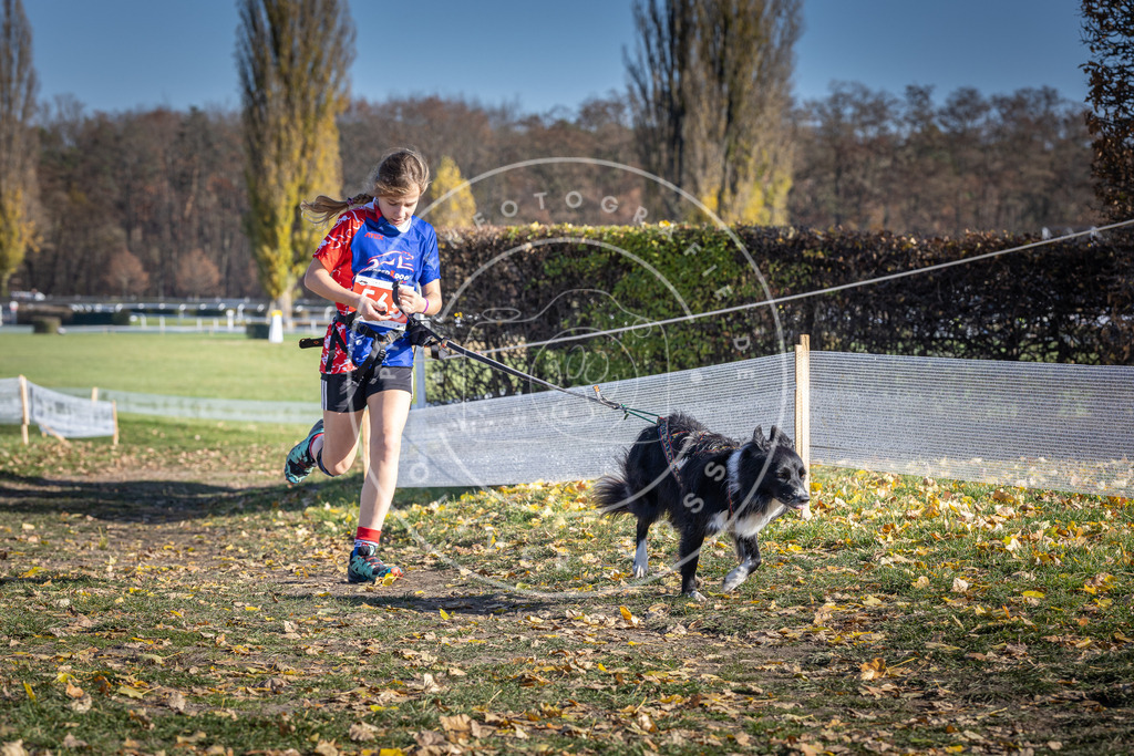 CaniXpix_DV3A8775 | Hundefotografie, Tierfotograf, Pfotenfotografie, Fotoshooting Hund, Hunde Portrait, Hundesport, Hundeportraits, Heideshooting, Hunde, Sportfotograf, Hundefotograf, Turnierhundsport, THS,  - Realisiert mit Pictrs.com