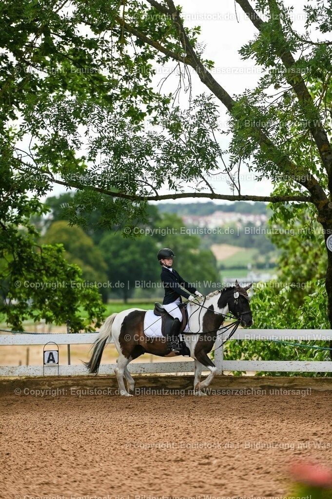 20230716_10-2_Reiter-WB Schritt - Trab - Galopp_0153 | equistock