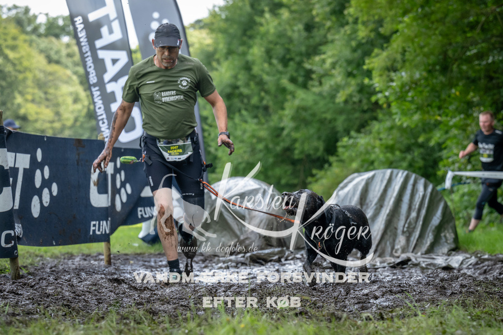 1138_ZZ93733 | kk-dogfotos