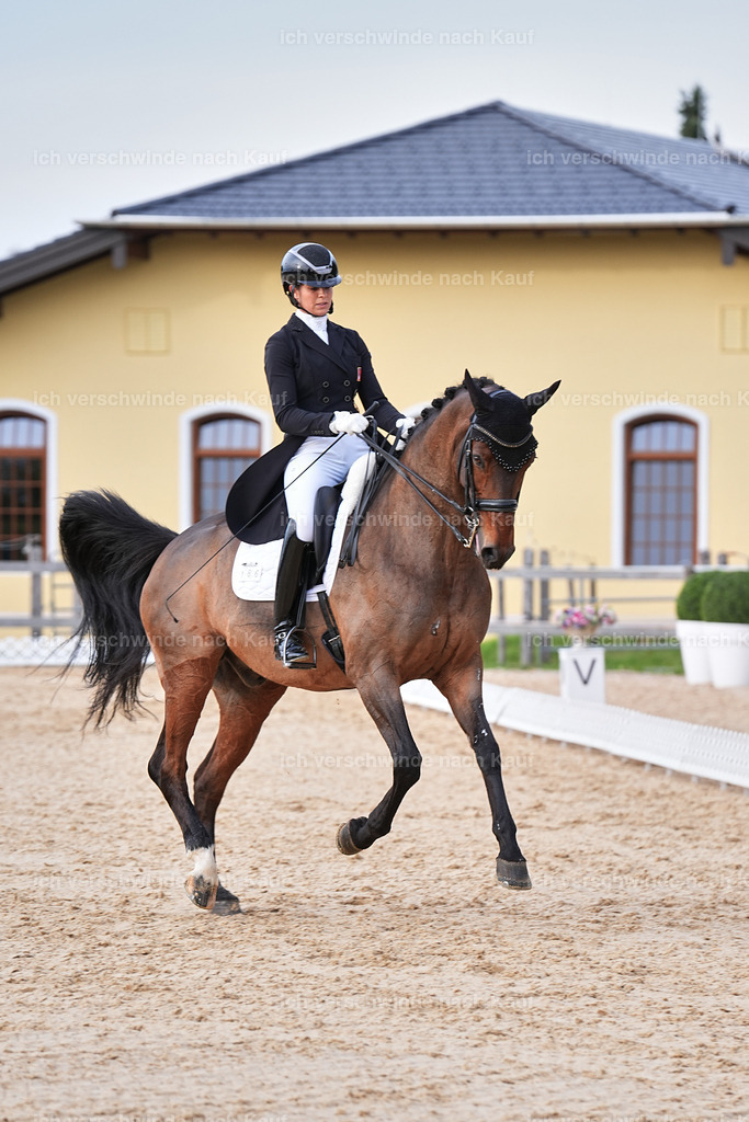 13-186-S___ -Marixx-7090 | working equitationturnier fotograf videograf stoibphotography marixx film working equitation deutschland reitsport turnierfotografie eventfotografie equestrian events