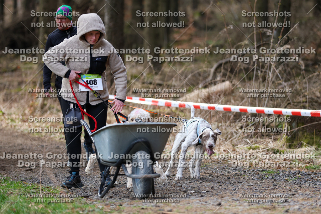 Dog Paparazzi - VCC26-657 | Dog Paparazzi Jeanette Grottendiek Fotografie & Videografie - Realisiert mit Pictrs.com