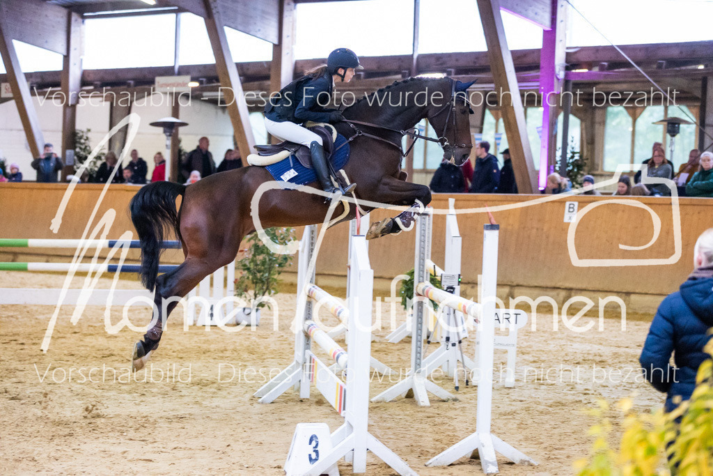 Sth-A-Spr.m.st.A.-040 | MomenTaufnahmen Pferdesportfotos