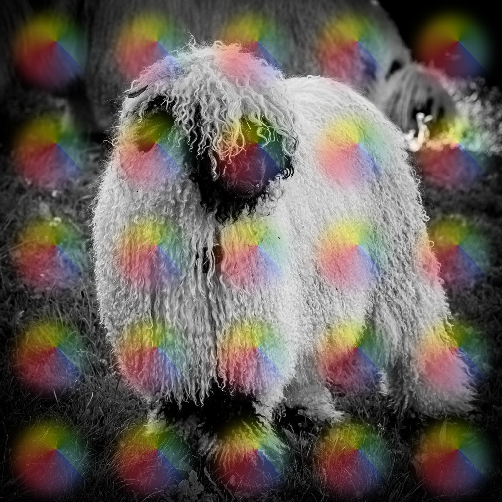 148A2200 | FineArtPrint, Hahnemühle, FeeGalerie, Fee Galerie, Fotokunst, Fotografie, Canonphotography, Bergfoto, Matterhorn, Rimpfischhorn, Allalinhorn, Saas-Fee, Wallis, Valais, Switzerland, Bergfotografie