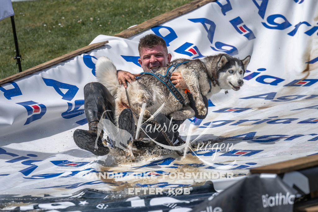 1225_ZZ97236 | kk-dogfotos