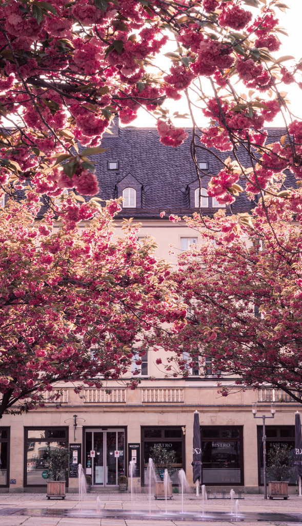 DSC03458 | frl-wunderlich - Realisiert mit Pictrs.com