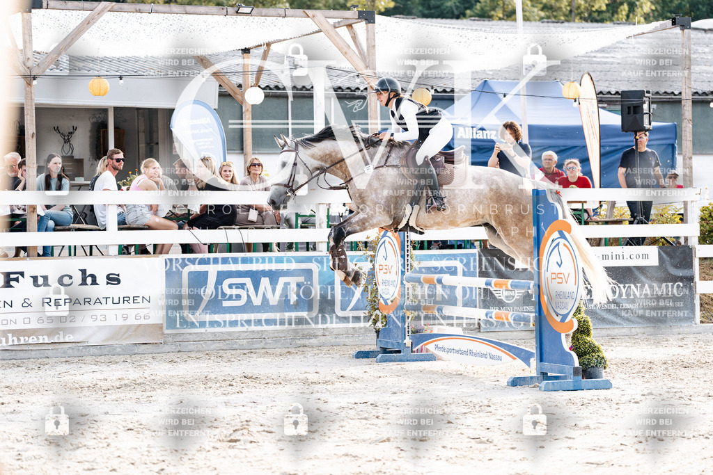 CK906728 | Turnierfotografie Pferdefotografie Trier Rheinland-Pfalz Pferdesport Reitsport Tierfotografie Sportfotografie Pferdevideo Pferdevideografie Equestrianvideography equestrianphotography  - Realisiert mit Pictrs.com
